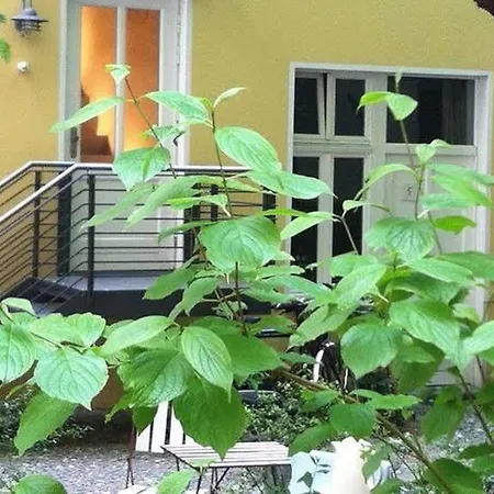 Peters - Andere Berlin