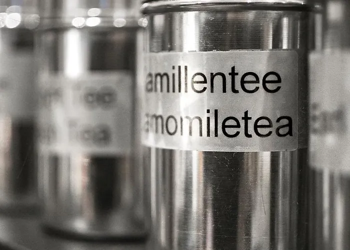 Peters - Andere Otel 3*